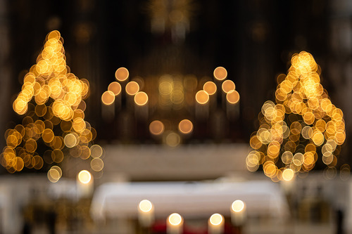 Erzdiözese Wien / Schönlaub