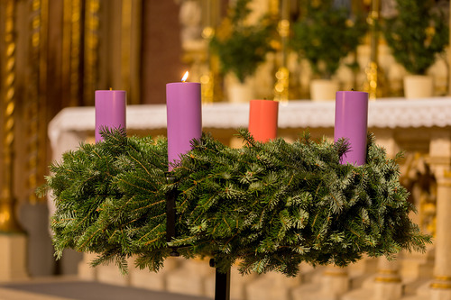 Stephan Schönlaub - Erzdiözese Wien